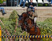 CRISTOFOLETTI AMICO MIO CampITA2013- S5 9371 : AMICO MIO, CRISTOFOLETTI ROBERTO, Campionati Italiani 2013, Cattolica, Horse Riviera Resort, foto di Stefano Secchi ©